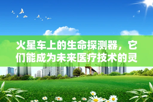 火星车上的生命探测器，它们能成为未来医疗技术的灵感来源吗？
