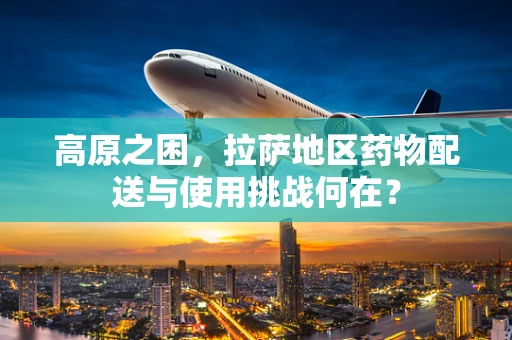 高原之困，拉萨地区药物配送与使用挑战何在？