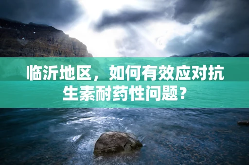临沂地区，如何有效应对抗生素耐药性问题？