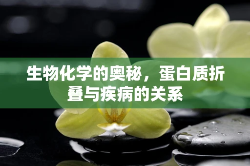 生物化学的奥秘，蛋白质折叠与疾病的关系