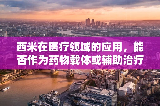 西米在医疗领域的应用，能否作为药物载体或辅助治疗手段？