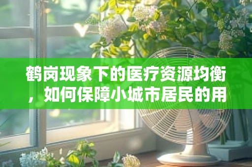 鹤岗现象下的医疗资源均衡，如何保障小城市居民的用药需求？