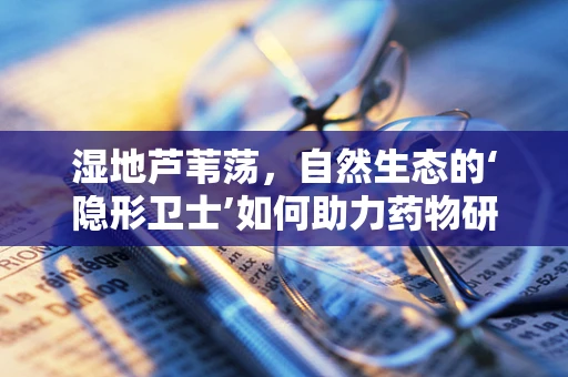 湿地芦苇荡，自然生态的‘隐形卫士’如何助力药物研发？