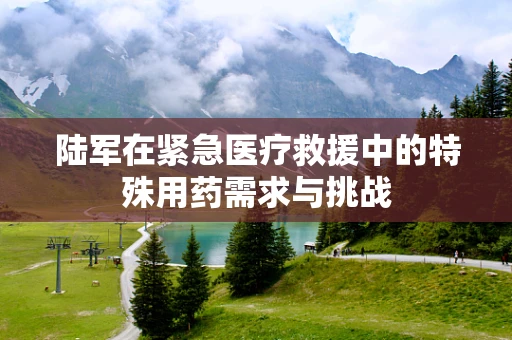 陆军在紧急医疗救援中的特殊用药需求与挑战