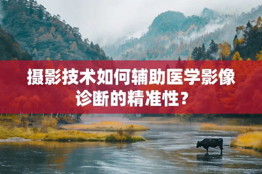 摄影技术如何辅助医学影像诊断的精准性？