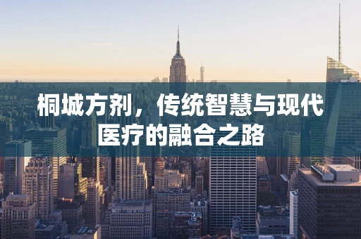 桐城方剂，传统智慧与现代医疗的融合之路