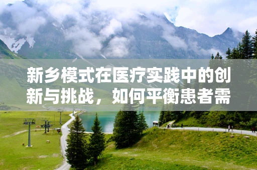 新乡模式在医疗实践中的创新与挑战，如何平衡患者需求与成本控制？