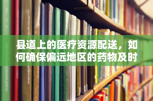 县道上的医疗资源配送，如何确保偏远地区的药物及时送达？