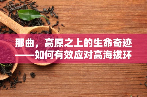 那曲，高原之上的生命奇迹——如何有效应对高海拔环境下的健康挑战？
