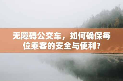 无障碍公交车，如何确保每位乘客的安全与便利？