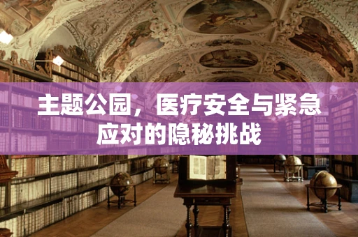主题公园，医疗安全与紧急应对的隐秘挑战
