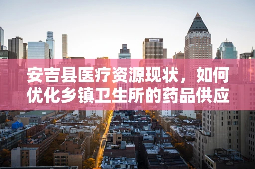 安吉县医疗资源现状，如何优化乡镇卫生所的药品供应与使用？