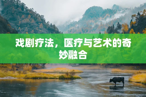 戏剧疗法，医疗与艺术的奇妙融合