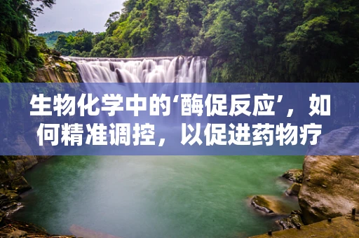 生物化学中的‘酶促反应’，如何精准调控，以促进药物疗效？