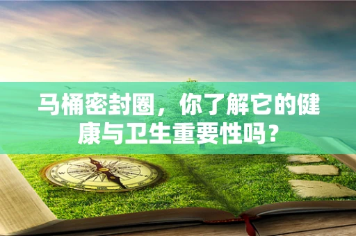 马桶密封圈，你了解它的健康与卫生重要性吗？