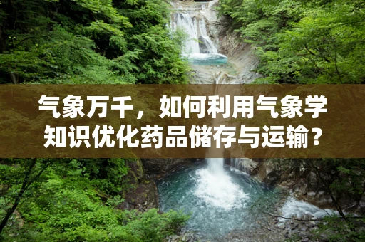 气象万千，如何利用气象学知识优化药品储存与运输？
