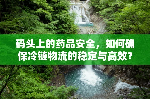 码头上的药品安全，如何确保冷链物流的稳定与高效？