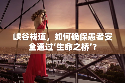 峡谷栈道，如何确保患者安全通过‘生命之桥’？
