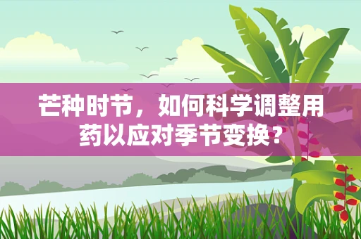 芒种时节，如何科学调整用药以应对季节变换？