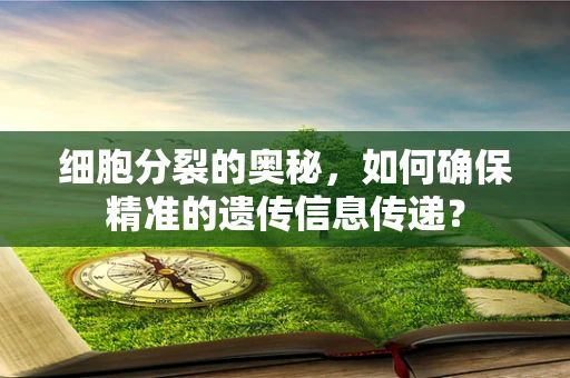 细胞分裂的奥秘，如何确保精准的遗传信息传递？