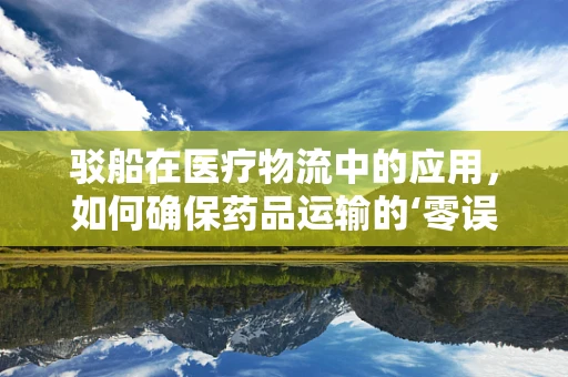 驳船在医疗物流中的应用，如何确保药品运输的‘零误差’？