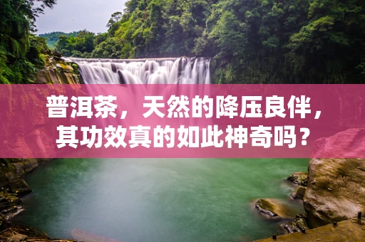 普洱茶，天然的降压良伴，其功效真的如此神奇吗？