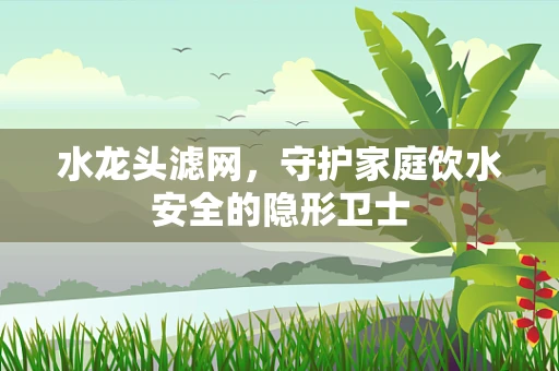 水龙头滤网，守护家庭饮水安全的隐形卫士