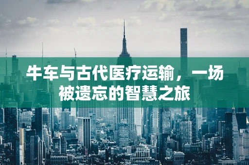 牛车与古代医疗运输，一场被遗忘的智慧之旅