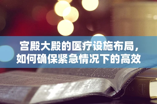 宫殿大殿的医疗设施布局，如何确保紧急情况下的高效救治？