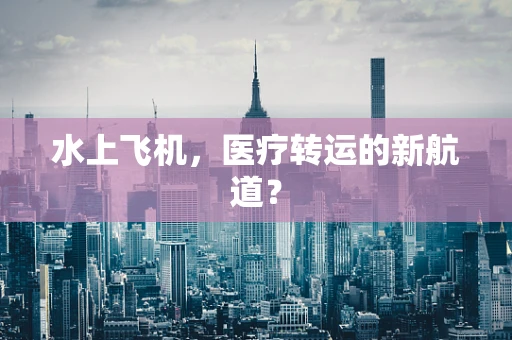 水上飞机，医疗转运的新航道？