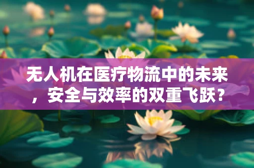 无人机在医疗物流中的未来，安全与效率的双重飞跃？