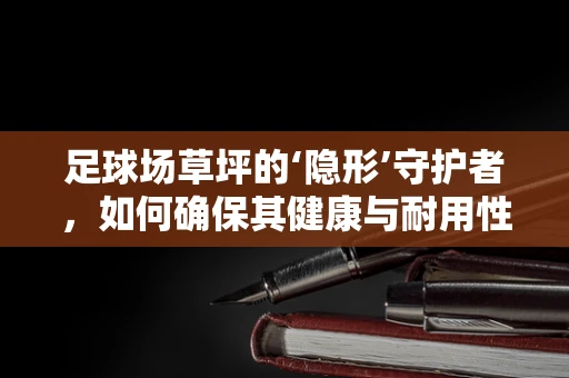 足球场草坪的‘隐形’守护者，如何确保其健康与耐用性？