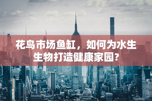 花鸟市场鱼缸，如何为水生生物打造健康家园？