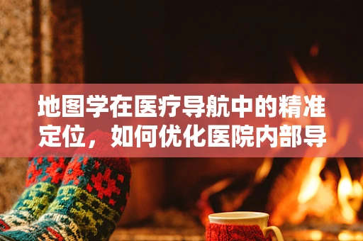 地图学在医疗导航中的精准定位，如何优化医院内部导航体验？
