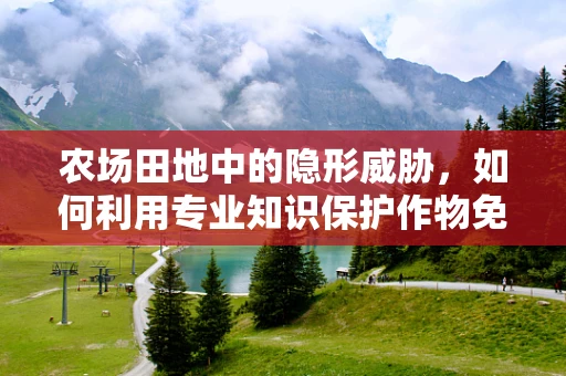 农场田地中的隐形威胁，如何利用专业知识保护作物免受药物污染？
