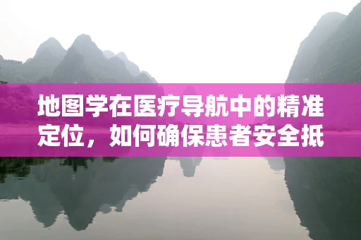 地图学在医疗导航中的精准定位，如何确保患者安全抵达？