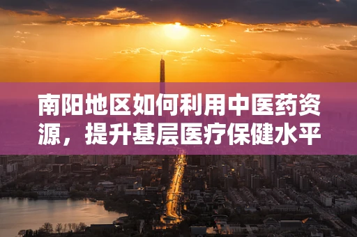 南阳地区如何利用中医药资源，提升基层医疗保健水平？