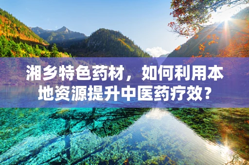 湘乡特色药材，如何利用本地资源提升中医药疗效？