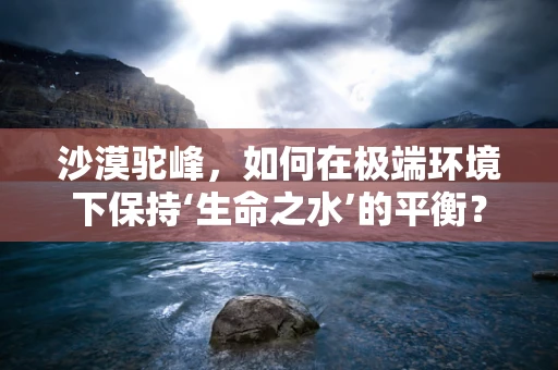 沙漠驼峰，如何在极端环境下保持‘生命之水’的平衡？