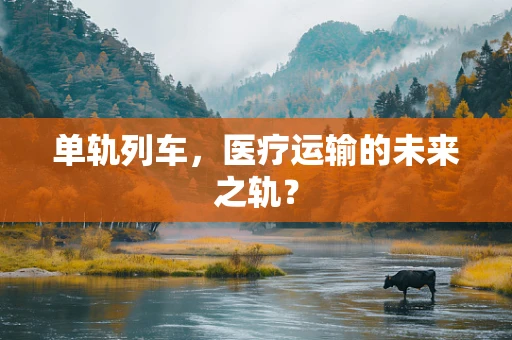 单轨列车，医疗运输的未来之轨？