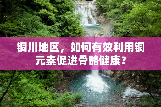 铜川地区，如何有效利用铜元素促进骨骼健康？