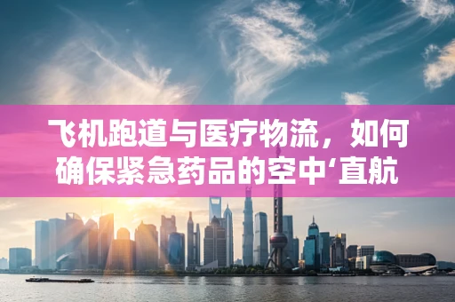飞机跑道与医疗物流，如何确保紧急药品的空中‘直航’？