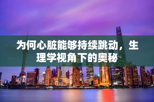 为何心脏能够持续跳动，生理学视角下的奥秘