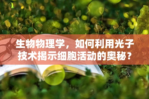 生物物理学，如何利用光子技术揭示细胞活动的奥秘？