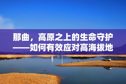 那曲，高原之上的生命守护——如何有效应对高海拔地区的健康挑战？