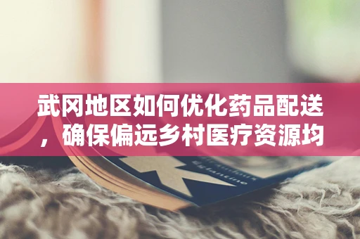 武冈地区如何优化药品配送，确保偏远乡村医疗资源均衡？