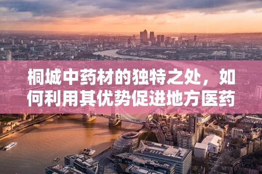 桐城中药材的独特之处，如何利用其优势促进地方医药产业发展？