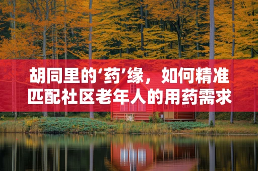 胡同里的‘药’缘，如何精准匹配社区老年人的用药需求？