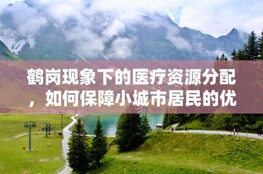 鹤岗现象下的医疗资源分配，如何保障小城市居民的优质医疗服务？