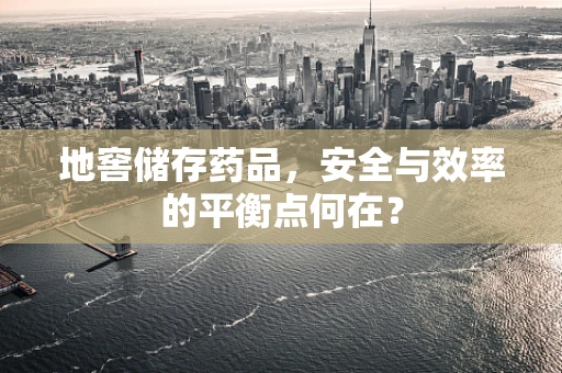 地窖储存药品，安全与效率的平衡点何在？